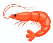 aquaticanimalnames14