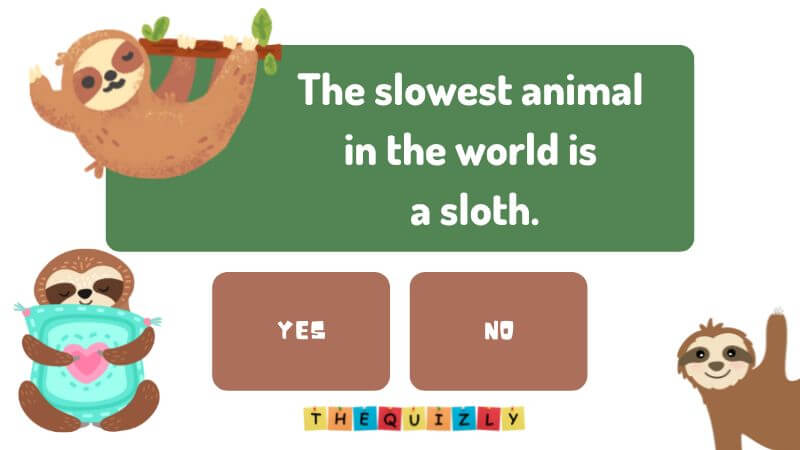 What is the Slowest Animal in the World? - Thequizly