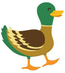 duck01