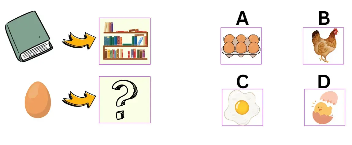 Picture Analogies 11