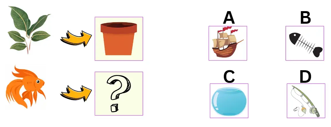 Picture Analogies 13